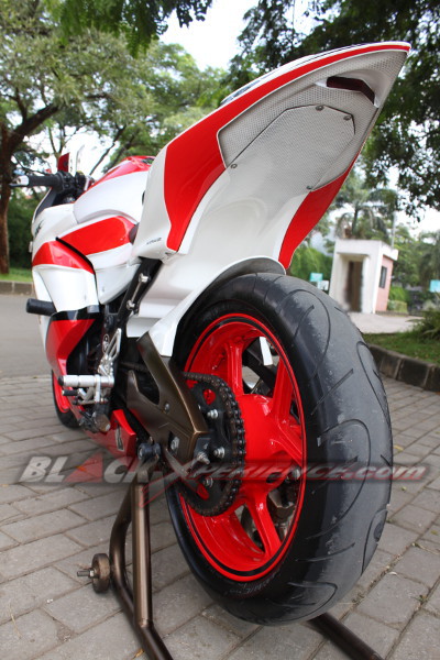 Elegant Sporty Ninja 250R